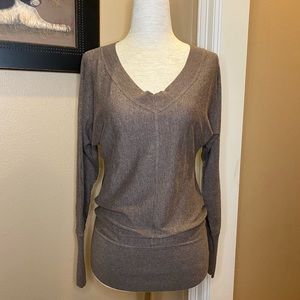 Ann Taylor Loft brown V-neck sweater